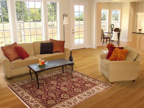 Jaipur Red Hand Knotted 40 X 62 Area Rug 100-12266 Image 5
