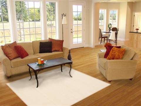 Modern Beige Hand Knotted 48 X 66 Area Rug 100-12271 Image 5