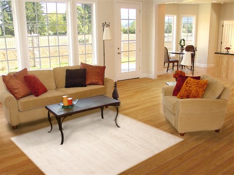 Indo-Nepal Beige Hand Knotted 50 X 80 Area Rug 100-12301 Image 4