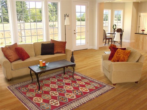Shiraz Red Hand Knotted 49 X 78 Area Rug 100-12303 Image 4