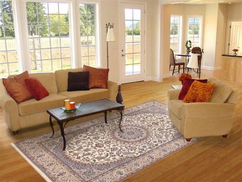 Nain Beige Hand Knotted 68 X 102 Area Rug 100-12307 Image 4