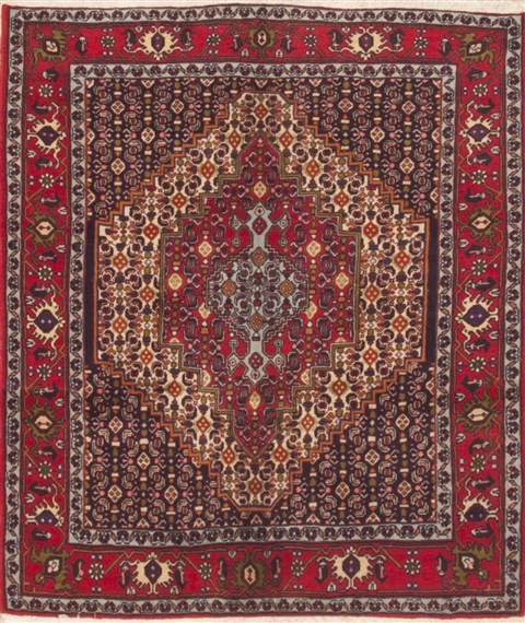 Sanandaj Red Hand Knotted 41 X 410  Area Rug 100-12318 Image 0