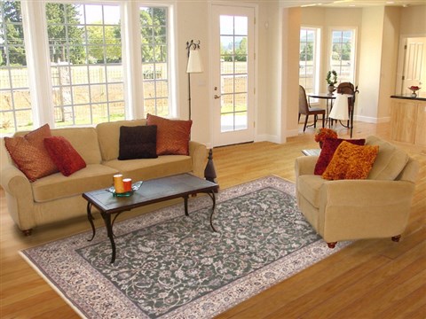 Nain Green Hand Knotted 69 X 100 Area Rug 100-12341 Image 4