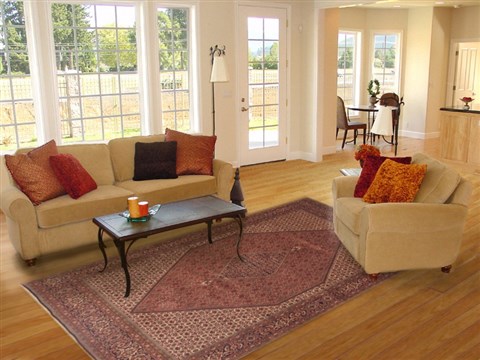 Bidjar Red Hand Knotted 81 X 113 Area Rug 100-12349 Image 4