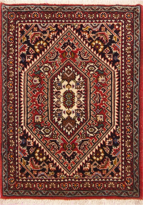 Bidjar Red Hand Knotted 15 X 20  Area Rug 100-12381 Image 0