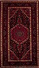 Nahavand Red Hand Knotted 49 X 85  Area Rug 251-12391 Thumb 0