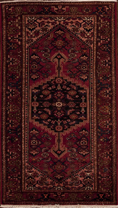 Hamedan Red Hand Knotted 44 X 75  Area Rug 251-12394 Image 0