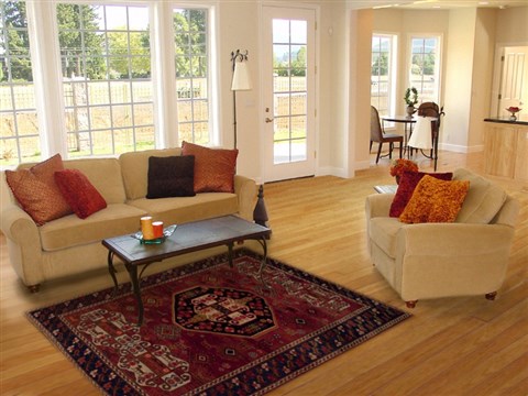 Sirjan Red Hand Knotted 47 X 70 Area Rug 251-12403 Image 5