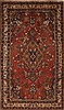 Hamedan Brown Hand Knotted 50 X 88  Area Rug 251-12406 Thumb 0