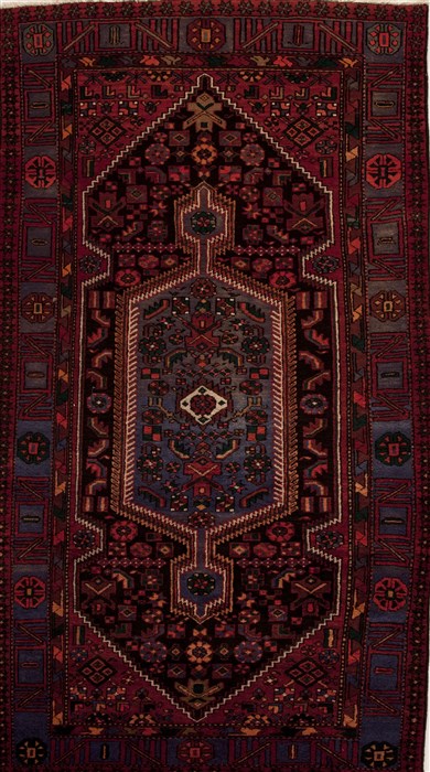 Hamedan Red Hand Knotted 49 X 810  Area Rug 251-12426 Image 0