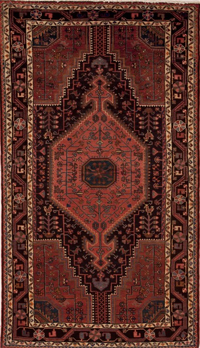 Hamedan Multicolor Hand Knotted 46 X 710  Area Rug 251-12429 Image 0
