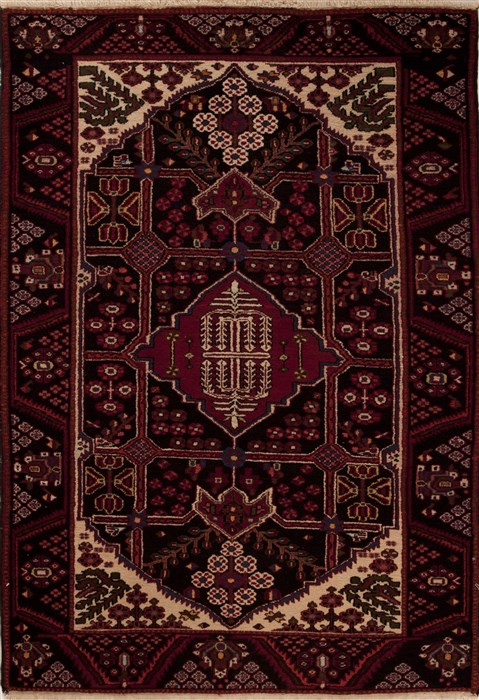 Hamedan Red Hand Knotted 47 X 67 Area Rug 251-12437 Image 0