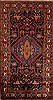 Hamedan Brown Hand Knotted 411 X 95  Area Rug 251-12439 Thumb 0