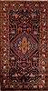 Hamedan Brown Hand Knotted 411 X 95  Area Rug 251-12439 Thumb 0