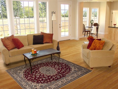 Nain Red Hand Knotted 50 X 80 Area Rug 251-12443 Image 4