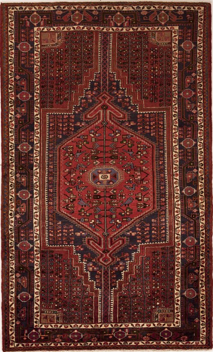 Hamedan Red Hand Knotted 50 X 84 Area Rug 251-12444 Image 0