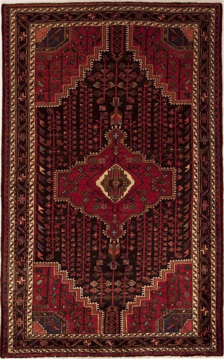 Hamedan Red Hand Knotted 50 X 80 Area Rug 251-12446 Image 0