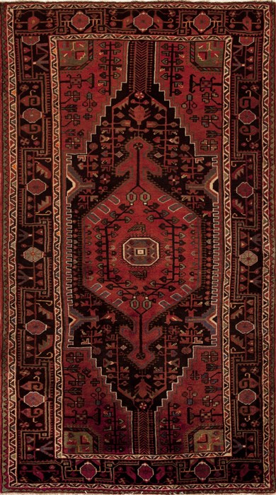 Hamedan Red Hand Knotted 46 X 83  Area Rug 251-12447 Image 0
