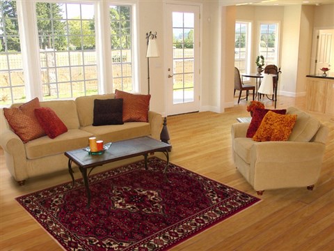 Hossein Abad Red Hand Knotted 51 X 69 Area Rug 251-12455 Image 5