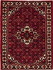 Hamedan Red Hand Knotted 52 X 73  Area Rug 251-12456 Thumb 0