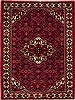 Hamedan Red Hand Knotted 52 X 73  Area Rug 251-12456 Thumb 0
