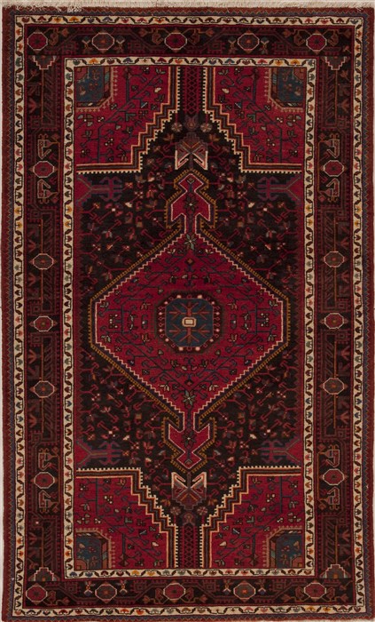 Hamedan Red Hand Knotted 45 X 75  Area Rug 251-12461 Image 0