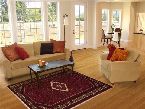Hossein Abad Red Hand Knotted 48 X 74 Area Rug 251-12462 Image 5