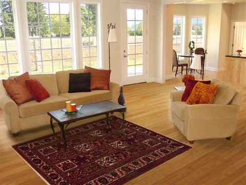 Hamedan Red Hand Knotted 55 X 72 Area Rug 251-12463 Image 5