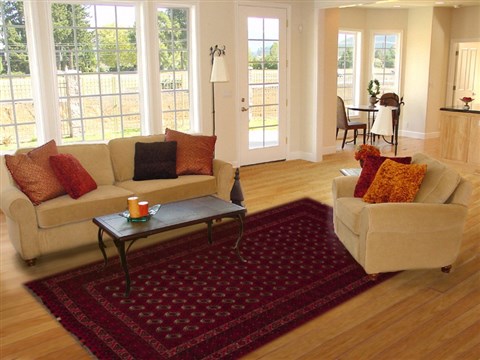 Bokhara Red Hand Knotted 67 X 97 Area Rug 251-12482 Image 4