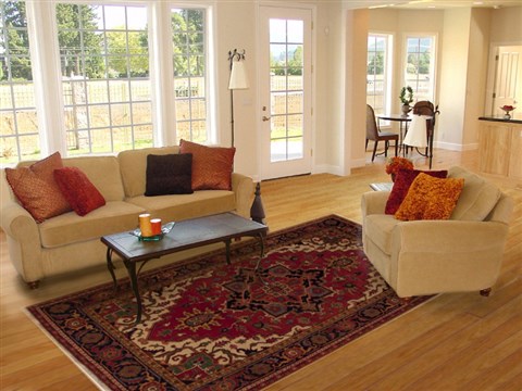 Heriz Red Hand Knotted 67 X 911 Area Rug 251-12484 Image 4