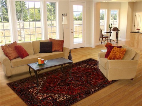 Heriz Red Hand Knotted 68 X 98 Area Rug 251-12486 Image 4
