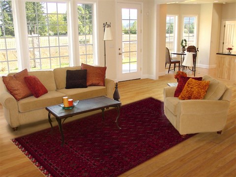 Bokhara Red Hand Knotted 68 X 911 Area Rug 251-12487 Image 4