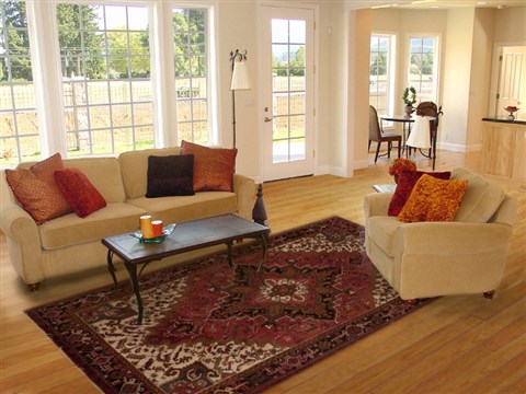 Goravan Red Hand Knotted 611 X 98 Area Rug 251-12506 Image 4