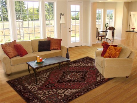 Goravan Red Hand Knotted 611 X 98 Area Rug 251-12509 Image 4