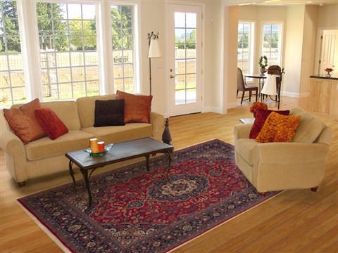 Mashad Red Hand Knotted 67 X 98 Area Rug 251-12510 Image 4