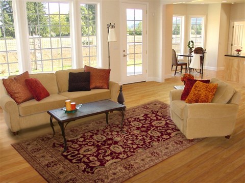 Pishavar Red Hand Knotted 67 X 99 Area Rug 251-12520 Image 4