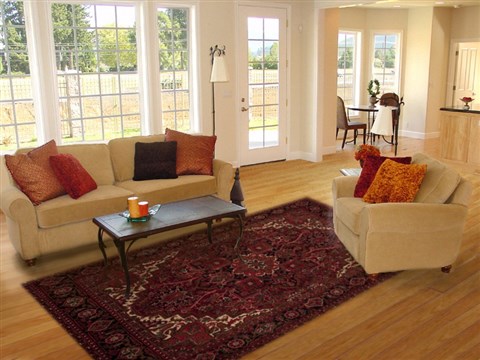 Goravan Red Hand Knotted 72 X 98 Area Rug 251-12522 Image 4