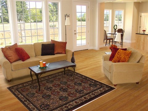 Bakhtiar Beige Hand Knotted 50 X 80 Area Rug 251-12531 Image 4