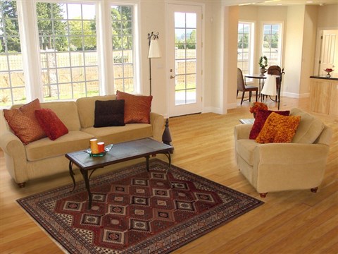 Yalameh Red Hand Knotted 51 X 84 Area Rug 251-12564 Image 4