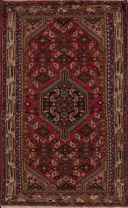 Hamedan Red Hand Knotted 31 X 51 Area Rug 251-12577 Image 0