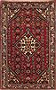Hamedan Red Hand Knotted 32 X 50  Area Rug 251-12588 Thumb 0