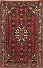 Hamedan Red Hand Knotted 32 X 50 Area Rug 251-12588 Thumb 0