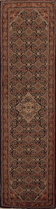 Hamedan Multicolor Runner Hand Knotted 26 X 103  Area Rug 251-12845 Image 0