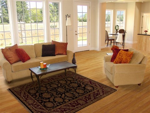 Agra Black Hand Knotted 41 X 61 Area Rug 251-12879 Image 5