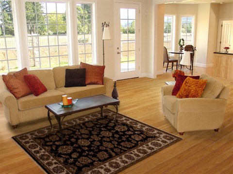 Agra Black Hand Knotted 40 X 61 Area Rug 251-12880 Image 5