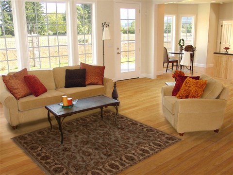 Agra Blue Hand Knotted 40 X 60 Area Rug 251-12882 Image 5