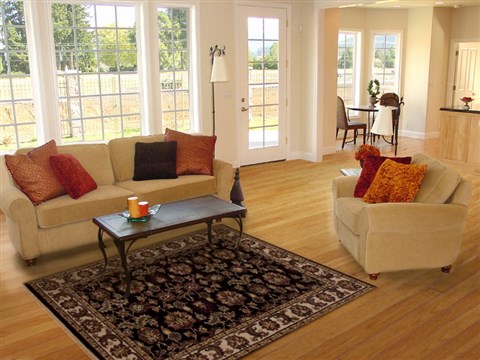 Agra Black Hand Knotted 311 X 510 Area Rug 251-12887 Image 5