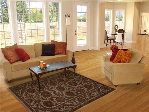 Agra Beige Hand Knotted 40 X 62 Area Rug 251-12892 Image 5