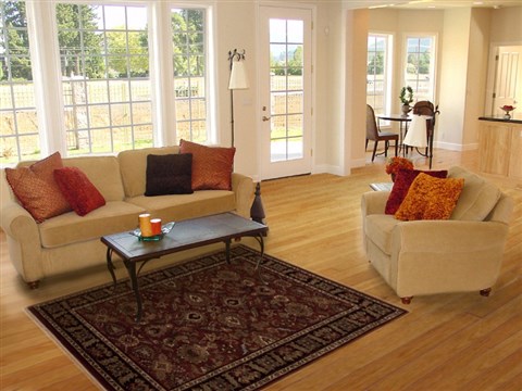 Agra Red Hand Knotted 40 X 61 Area Rug 251-12894 Image 5