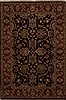 Agra Black Hand Knotted 41 X 60  Area Rug 251-12895 Thumb 0